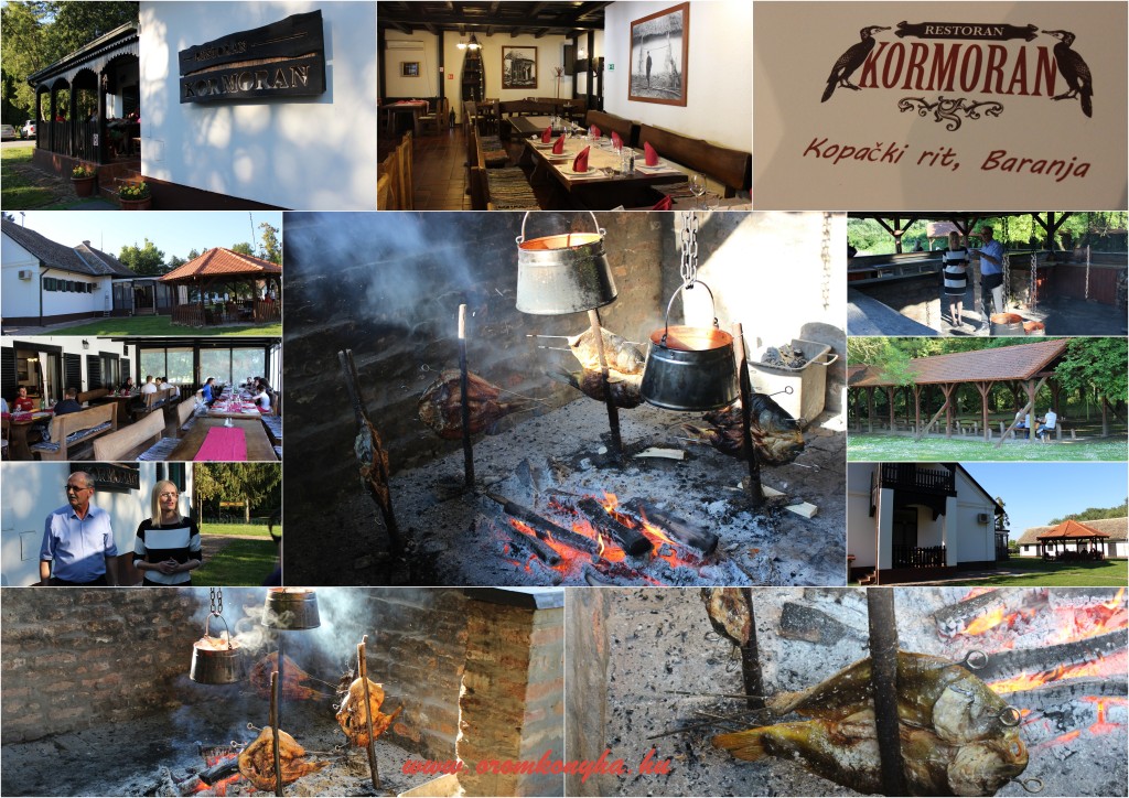 Kormorán-étterem-1024x724